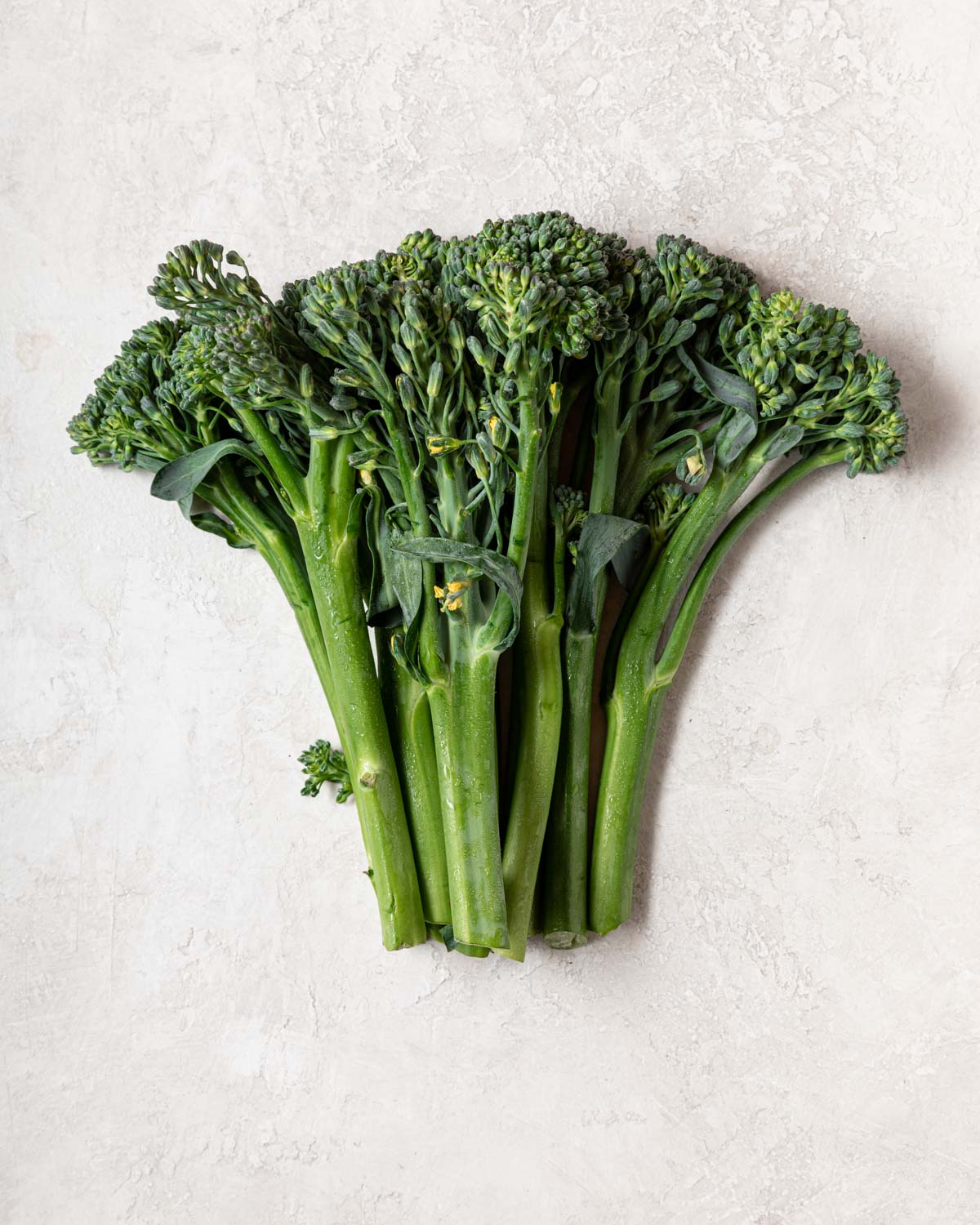 A bunch of broccolini sits on a neutral background.